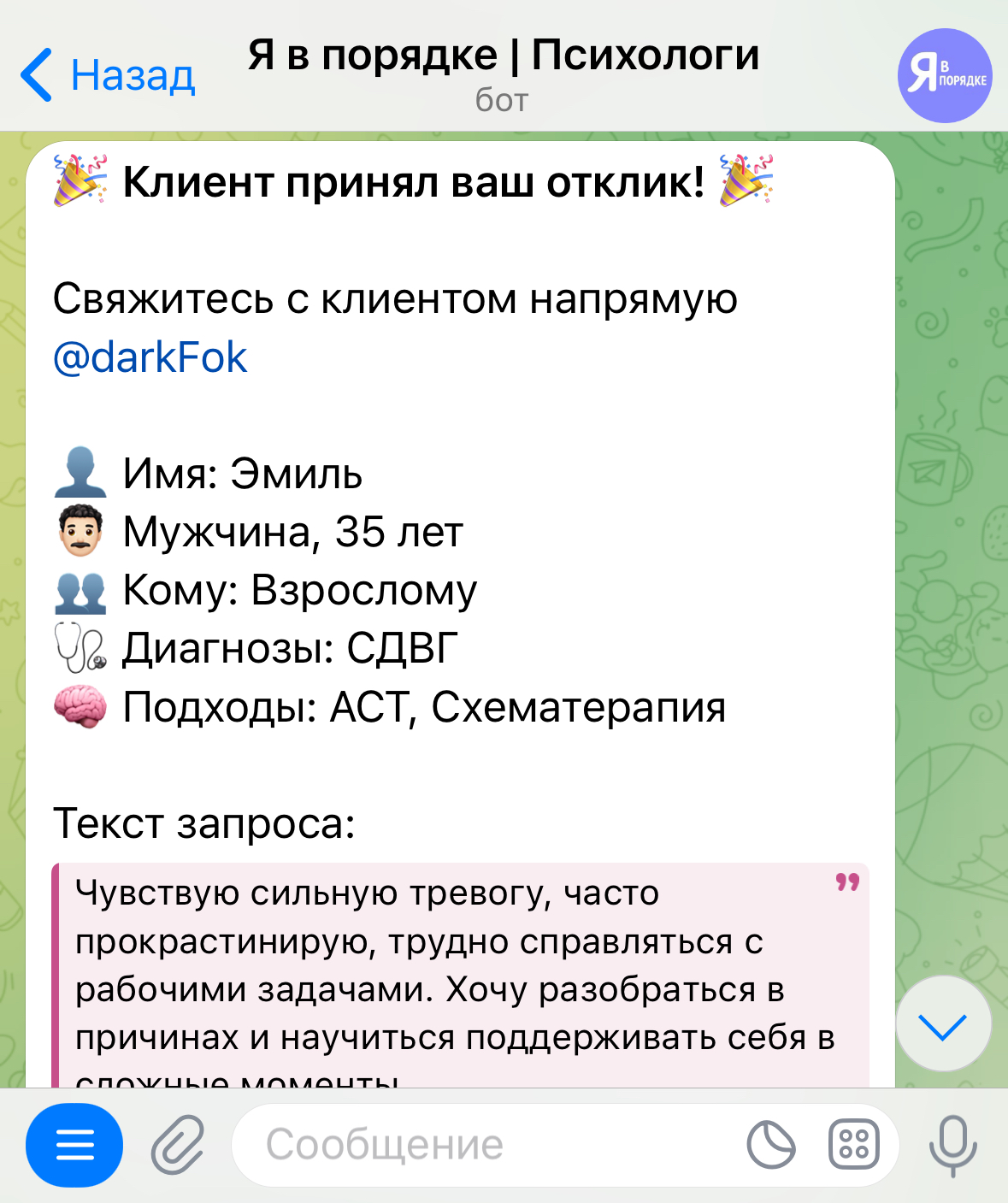 Интерфейс бота - успешное соединение с клиентом